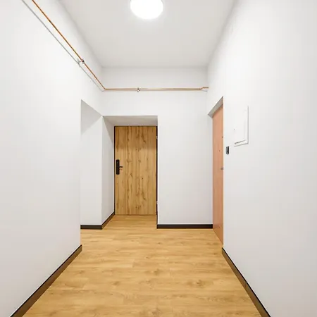 Koscielna 4 Apartments - 100M Od Rynku Rybnik (Silesia)